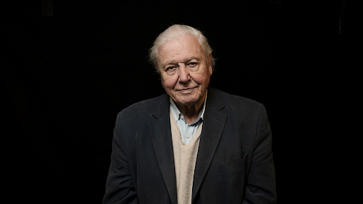 David Attenborough Net Worth
