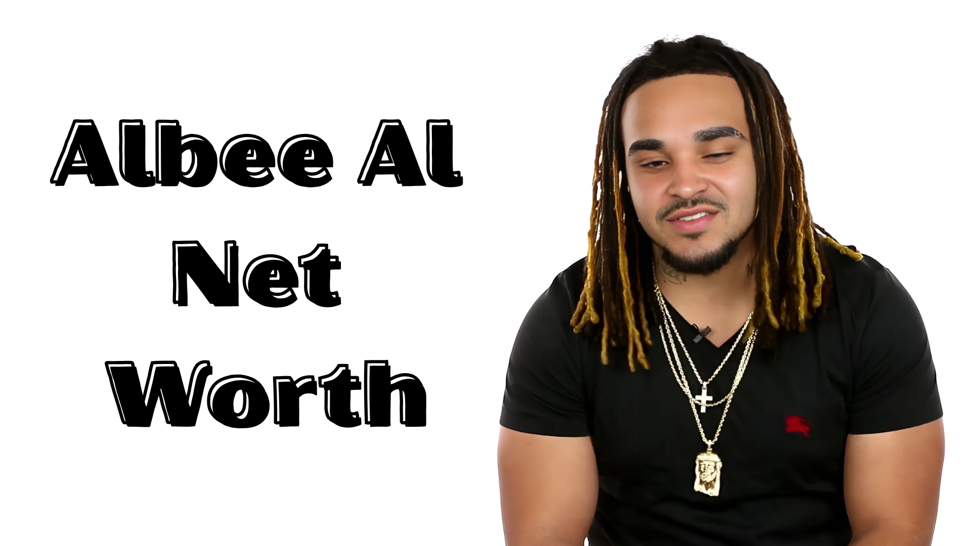 Albee Al Net Worth