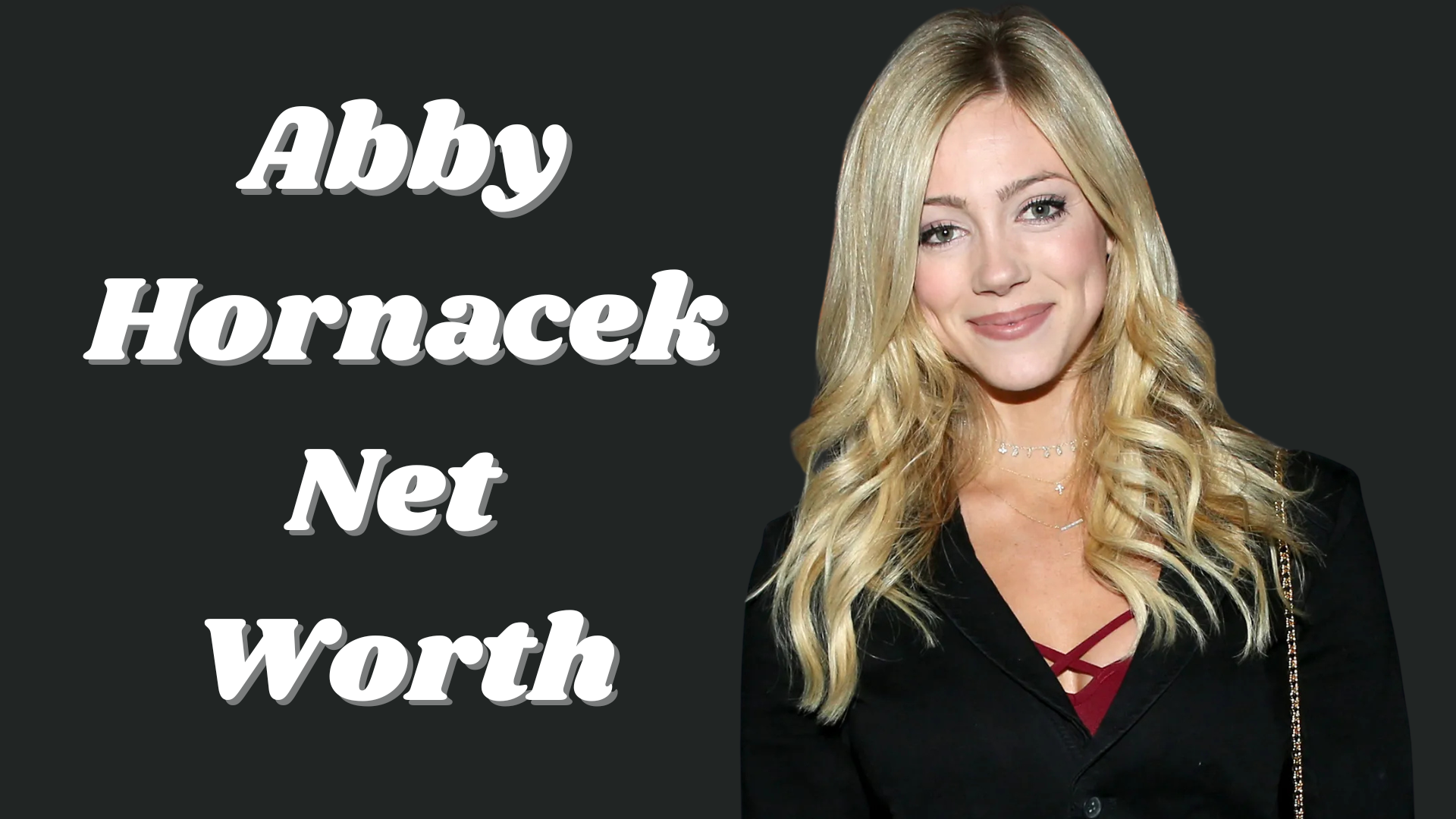 Abby Hornacek net worth